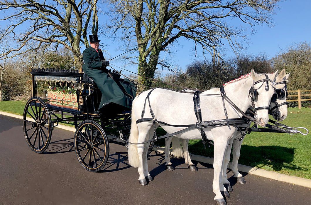 Horse-drawn Carriage